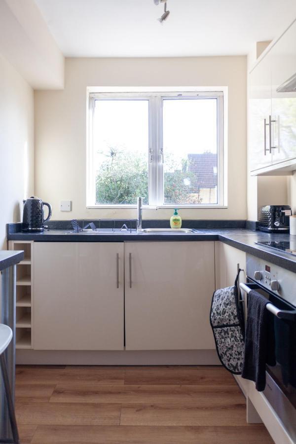 Lovely Studio Flat In Wimbledon W/ Free Parking London Ngoại thất bức ảnh